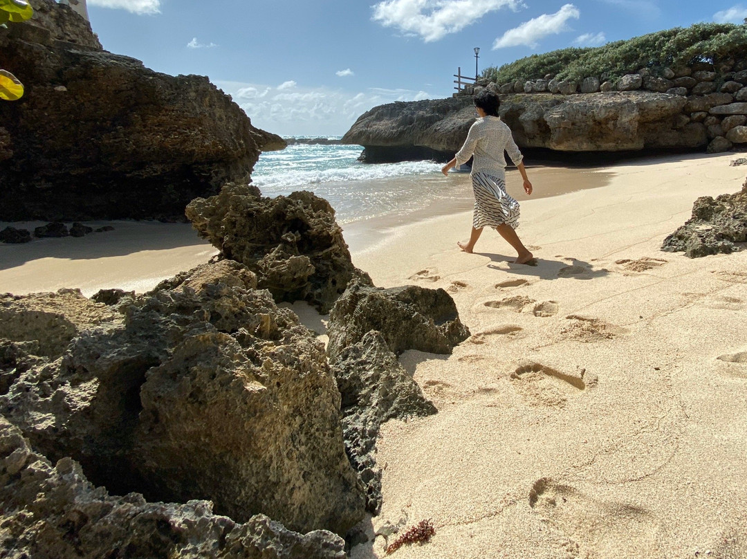 Shark Hole-巴巴多斯必去景点