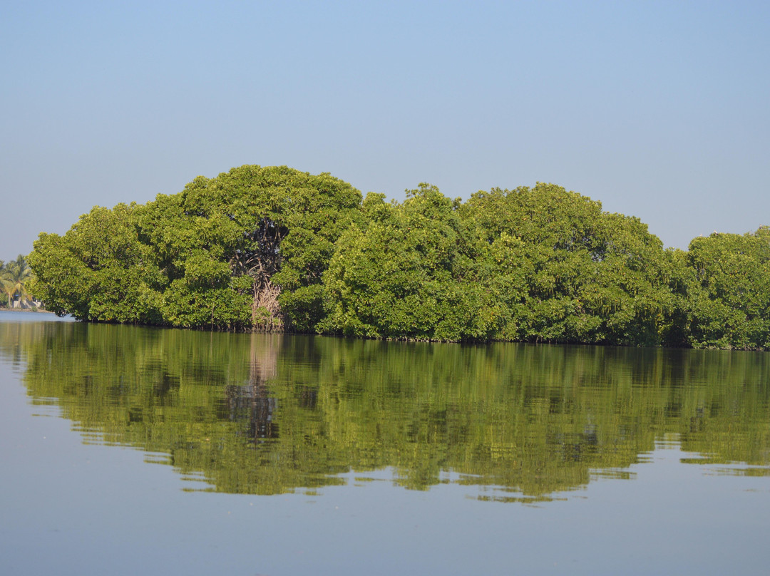 kochibackwaters-柯钦必去景点