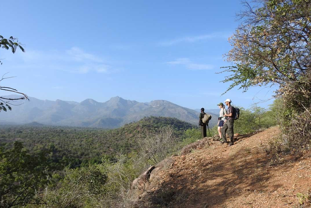 Chinnar Wildlife Sanctuary-慕那尔必去景点