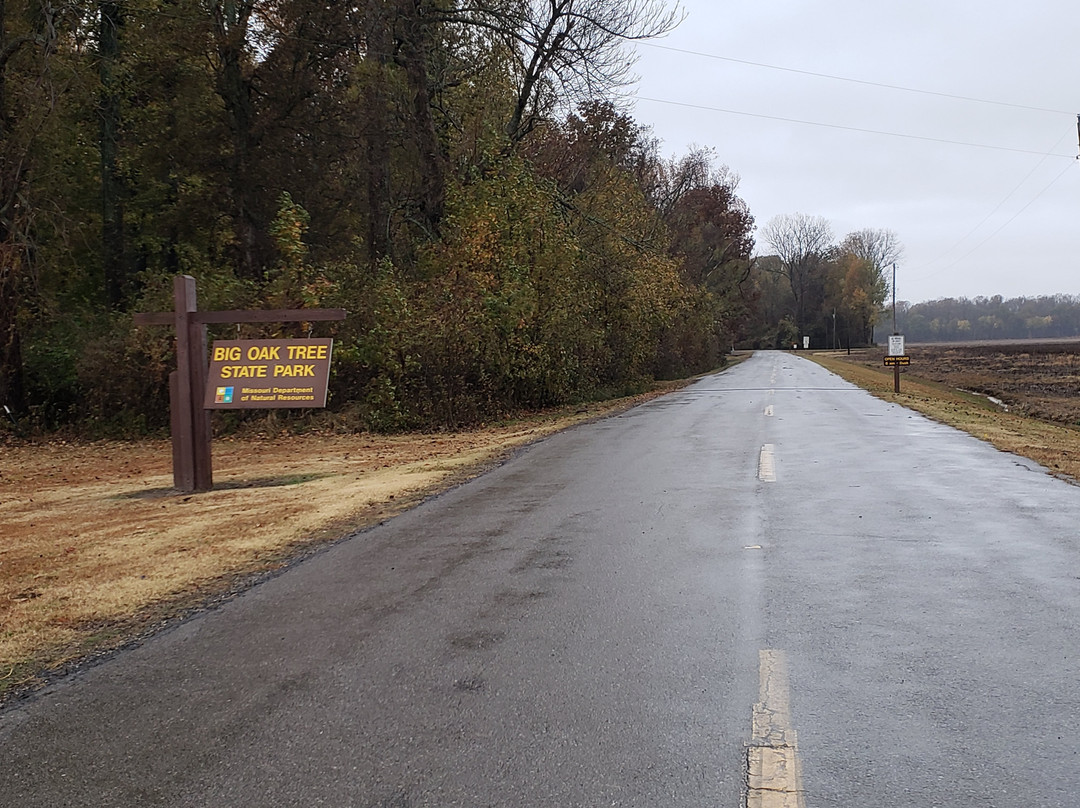 Big Oak Tree State Park-East Prairie必去景点