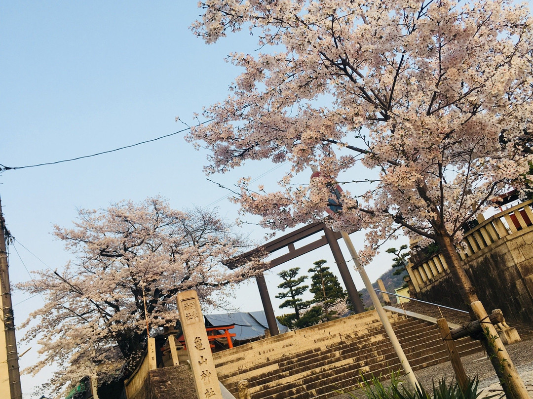 Kameyama Shrine-吴市必去景点