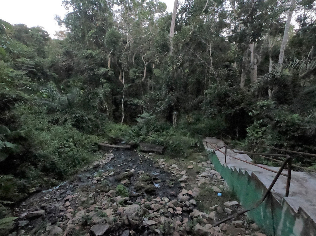 Ikogosi Warm Springs景点图片