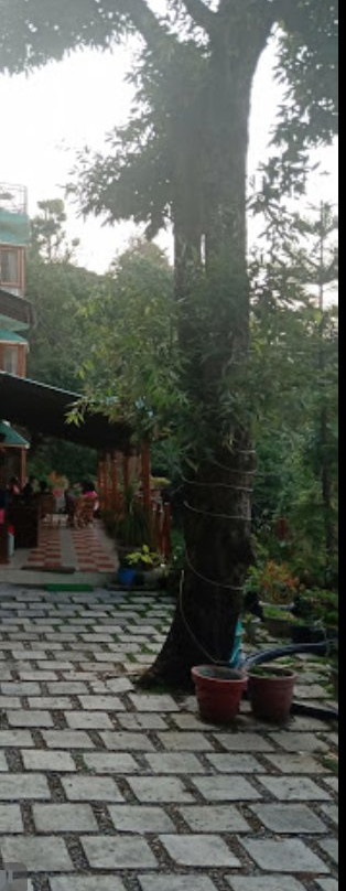 The Kumaon Exotica主图