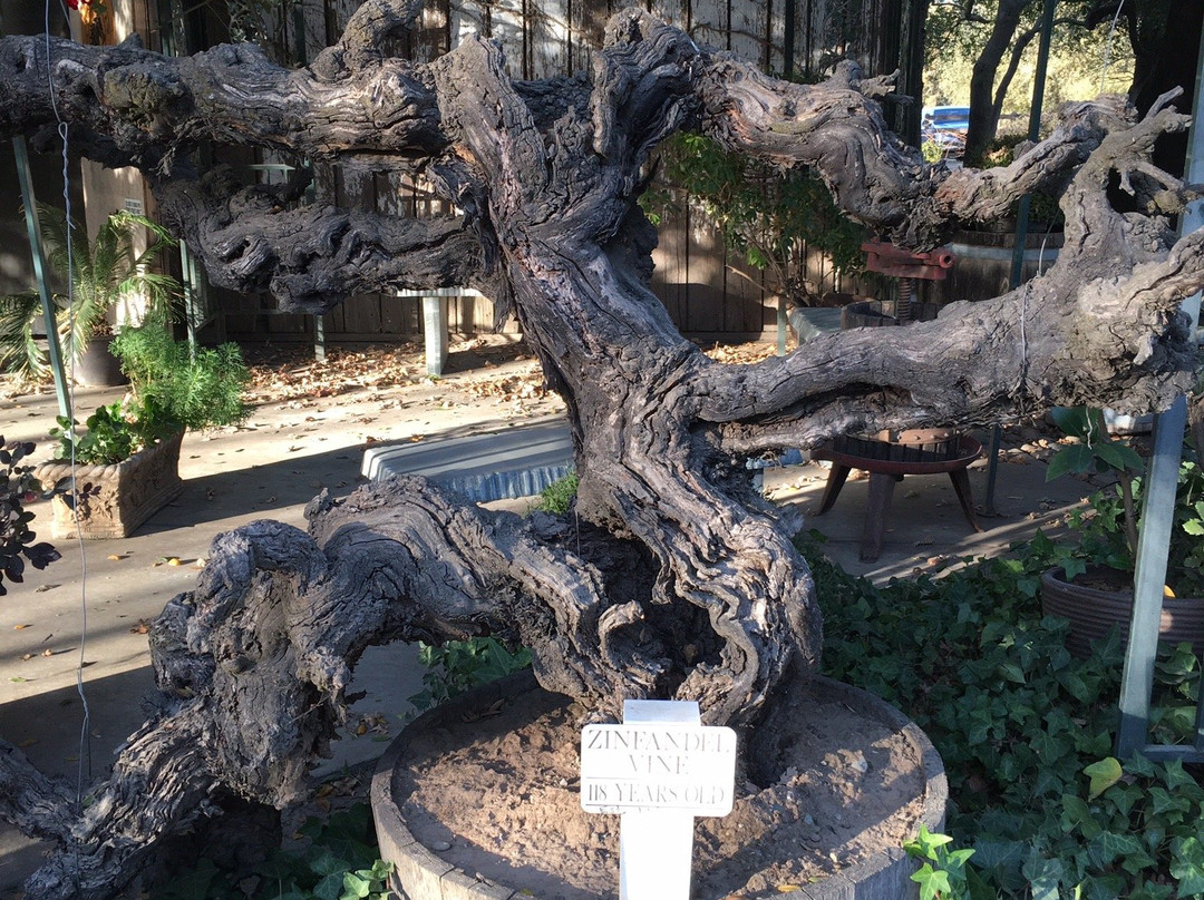 Jessie's Grove Winery-洛迪必去景点