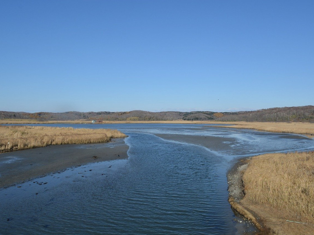 Poroto Swamp-滨中町必去景点