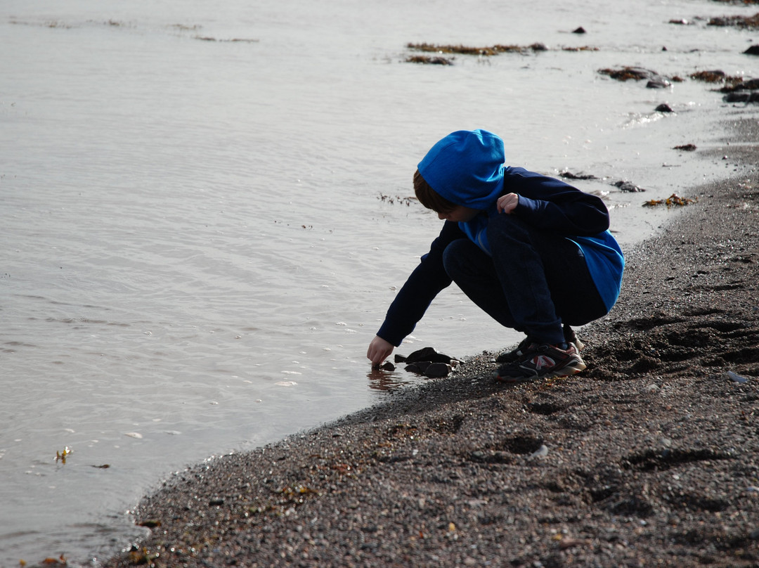 Gite Toutes Saisons Bed & Breakfast主图