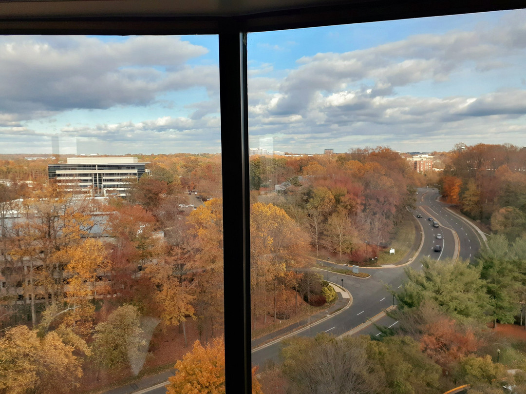 费尔法克斯凯悦酒店主图