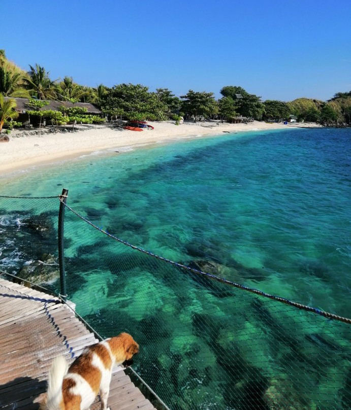 Beach Resort Maripipi主图