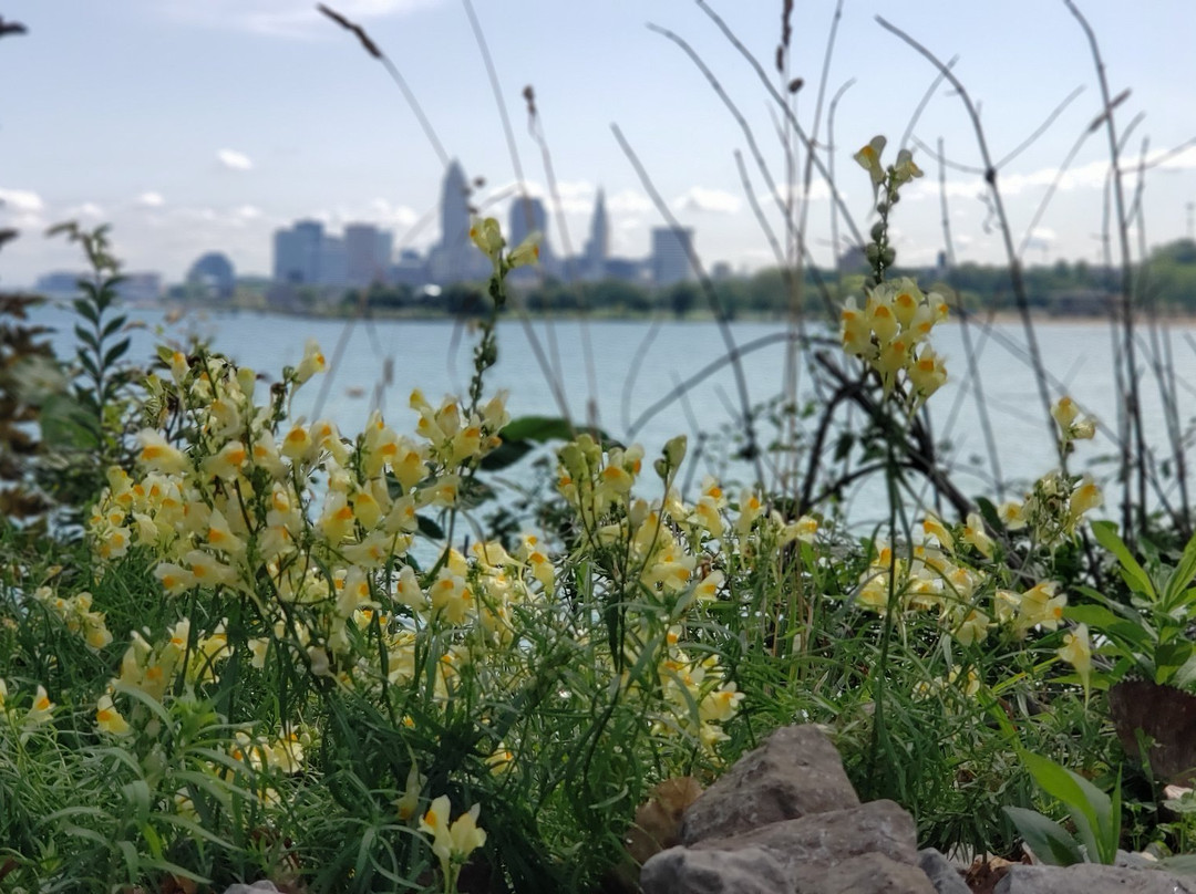 Edgewater Park-克利夫兰必去景点