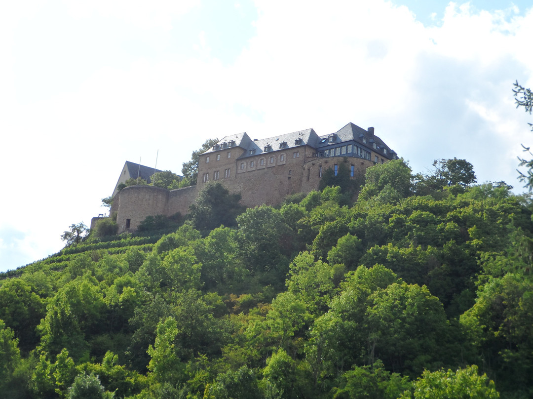 Burg Ebernburg景点图片