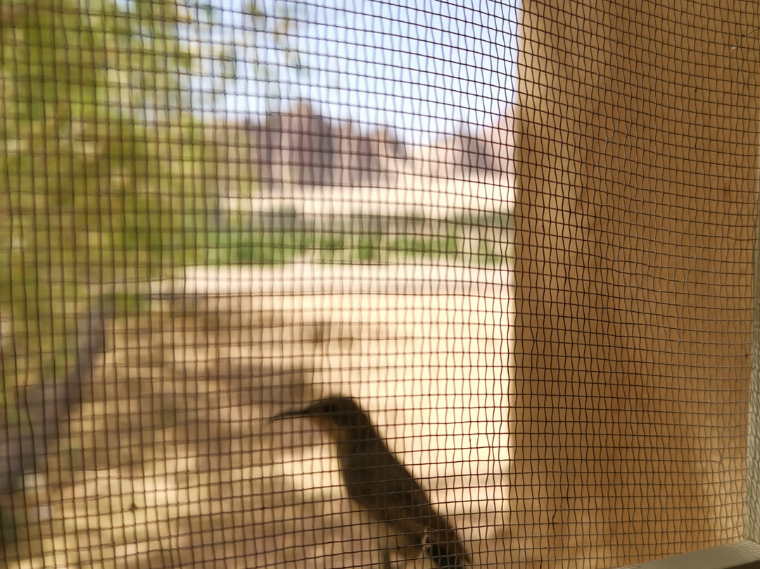 Hegra-AlUla必去景点