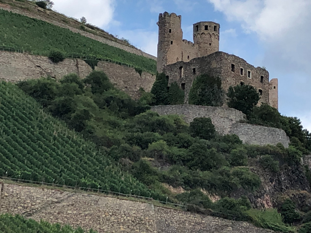 Burg Ehrenfels-吕德斯海姆必去景点