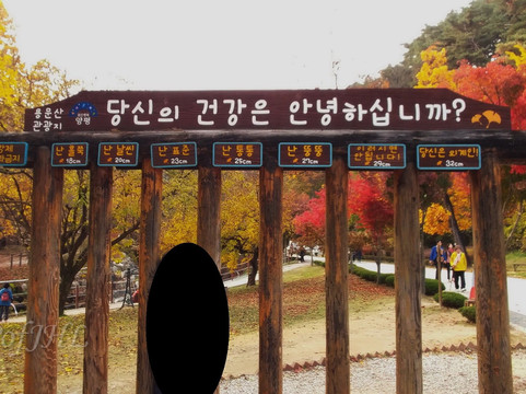 Yongmunsan Resort-杨平郡必去景点