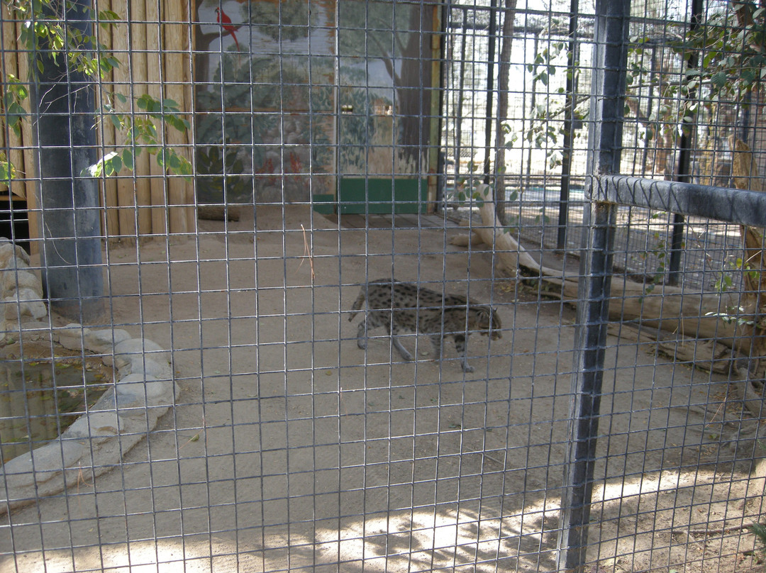 The Cat House-Rosamond必去景点