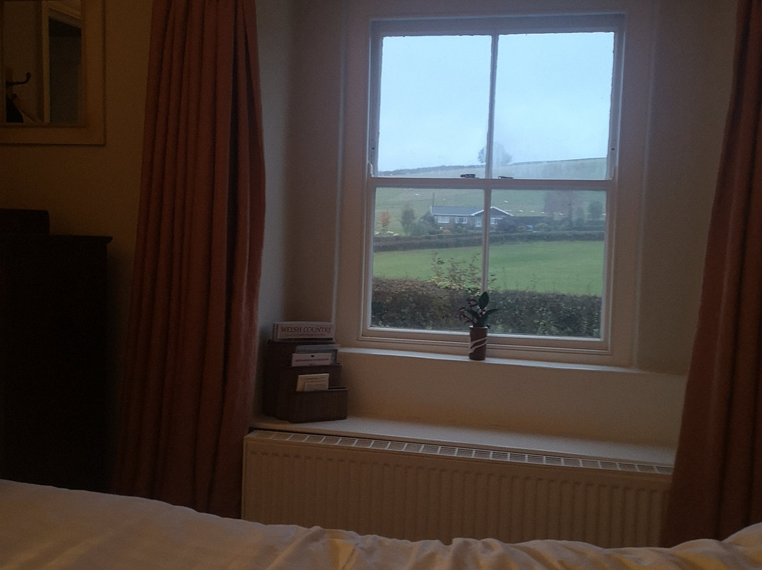 The Felin Fach Griffin主图