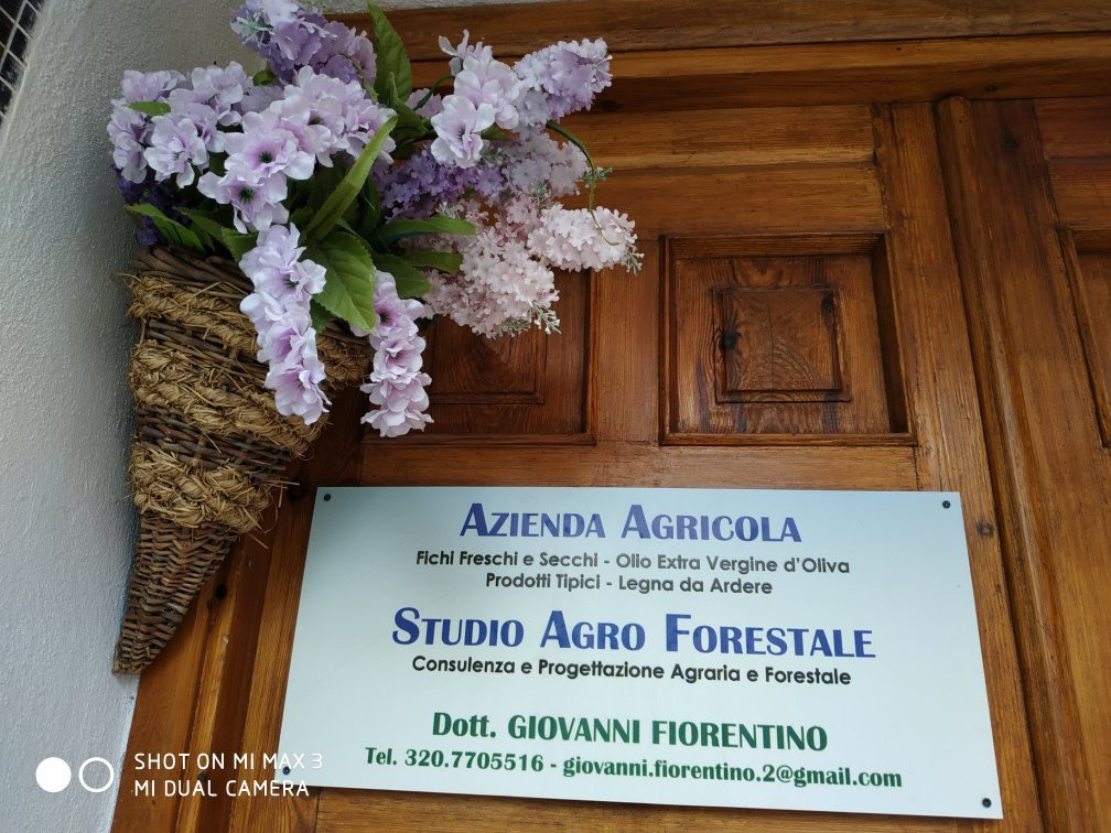 Azienda Agricola Giovanni Fiorentino景点图片