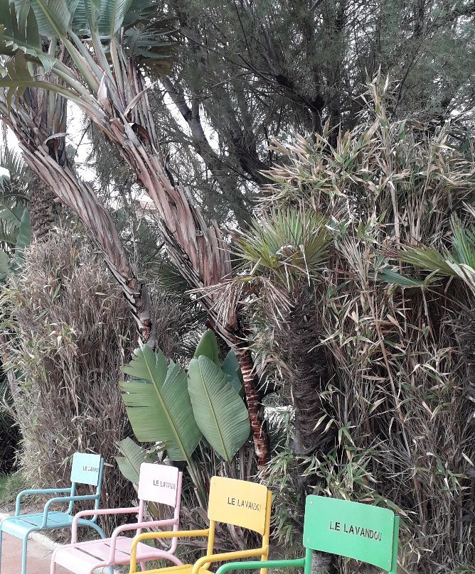Office de Tourisme du Lavandou-莱拉旺杜必去景点
