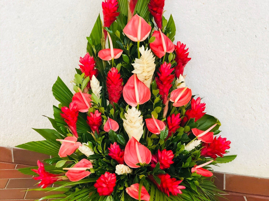Baha'i House of Worship Samoa-阿皮亚必去景点