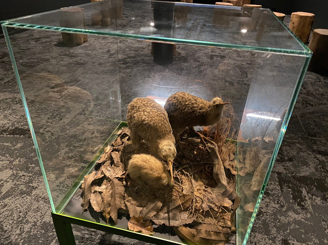 Carrington Tours & Transfers-汉密尔顿必去景点