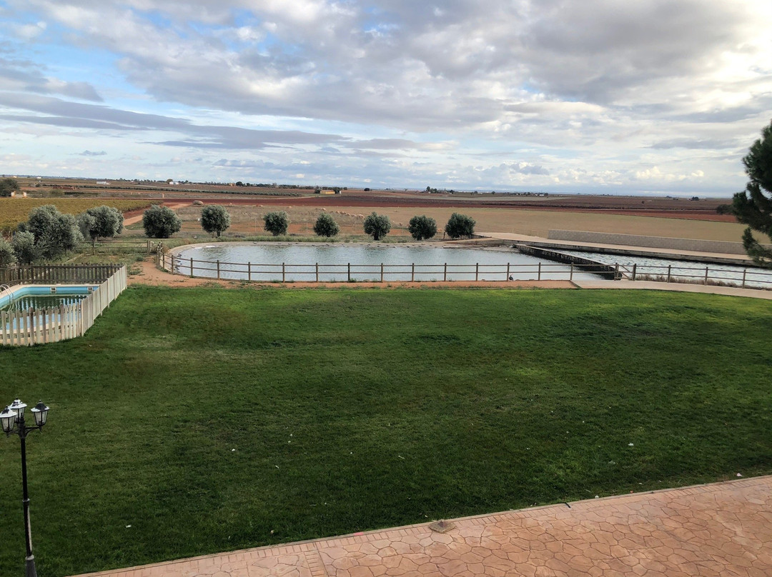 Vinedos y Bodegas El Castillo景点图片