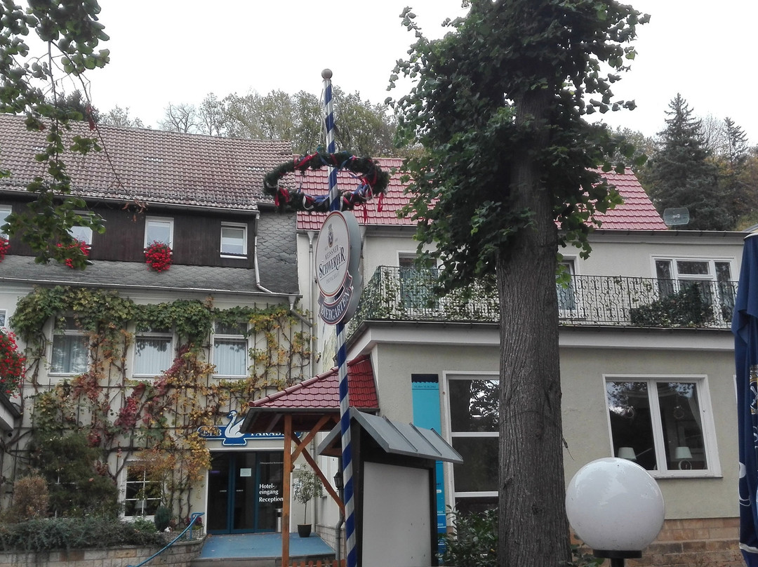 Hotel Elbparadies主图