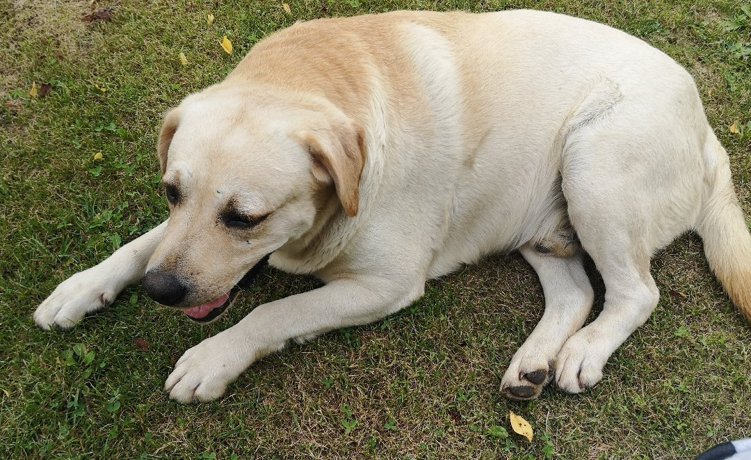 Casa traditiilor主图