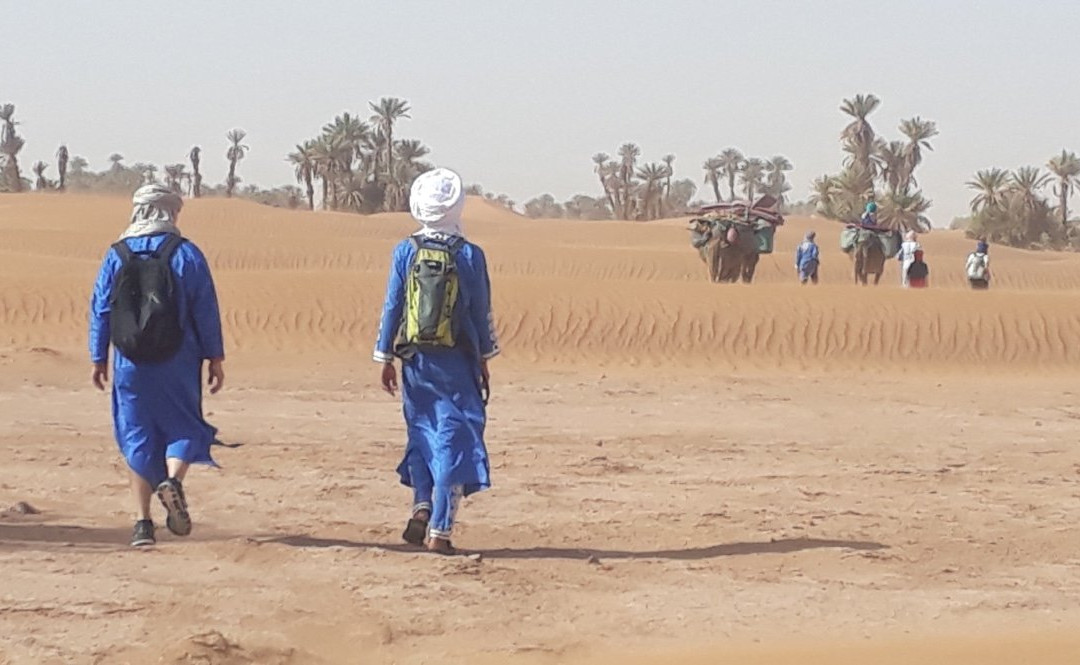 Sables Emouvants-迈哈米德必去景点