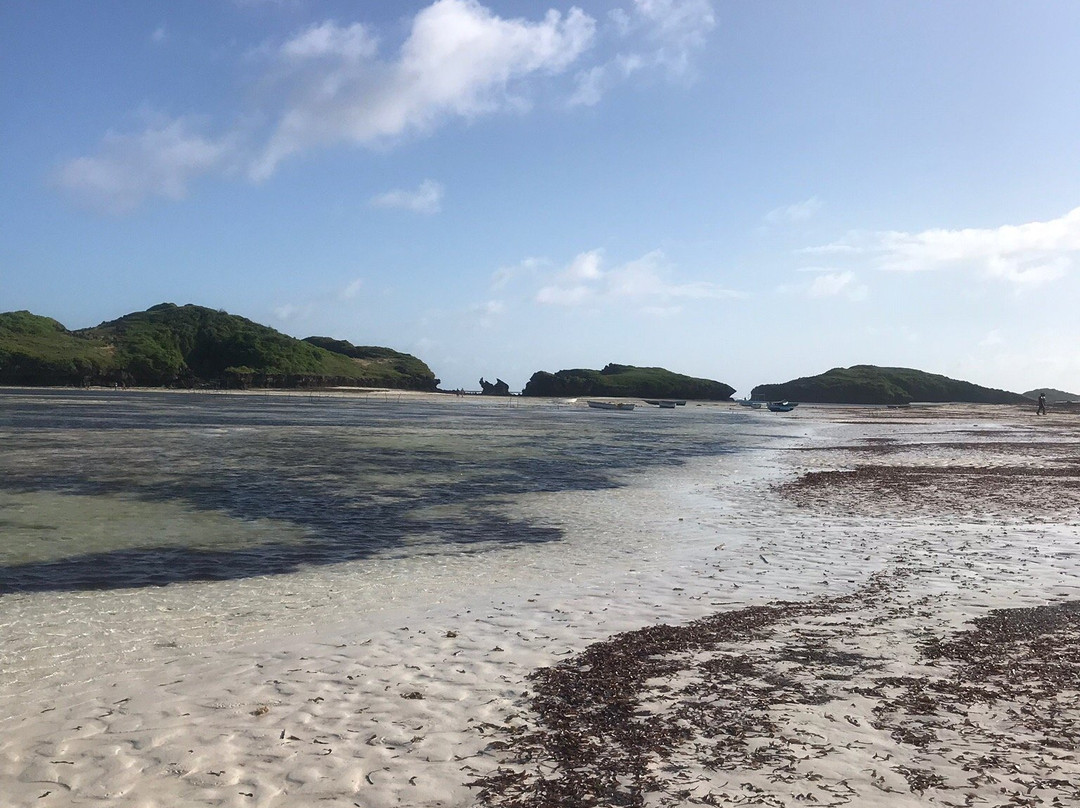 Pearl of Afrika主图