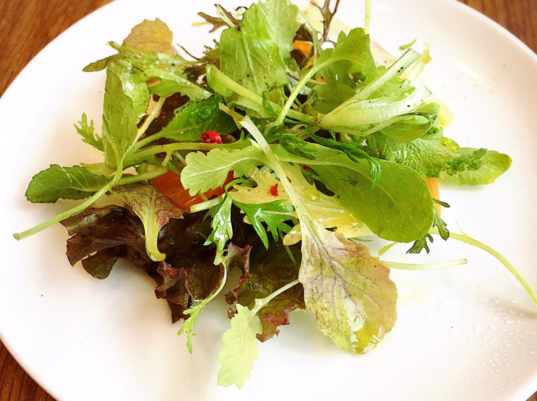 欧風食堂 OTTAN TOTTO