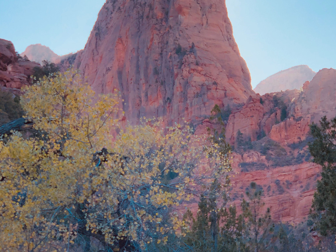 Taylor Creek-锡安国家公园必去景点