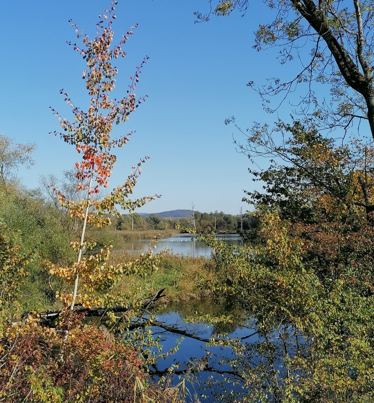 Infohaus Isarmuendung-Moos必去景点