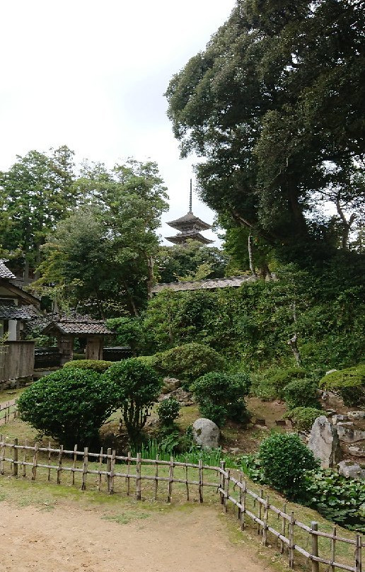 Myojo-ji Temple景点图片