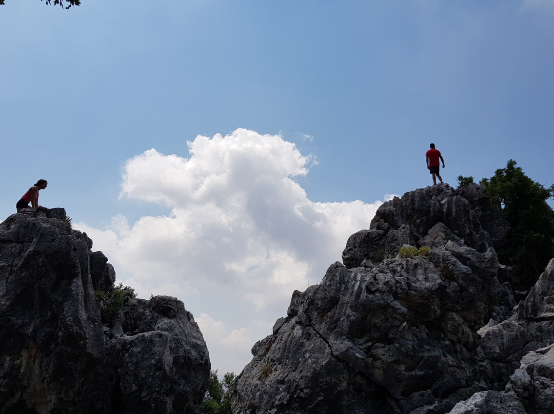 Jabal Moussa Biosphere Reserve景点图片