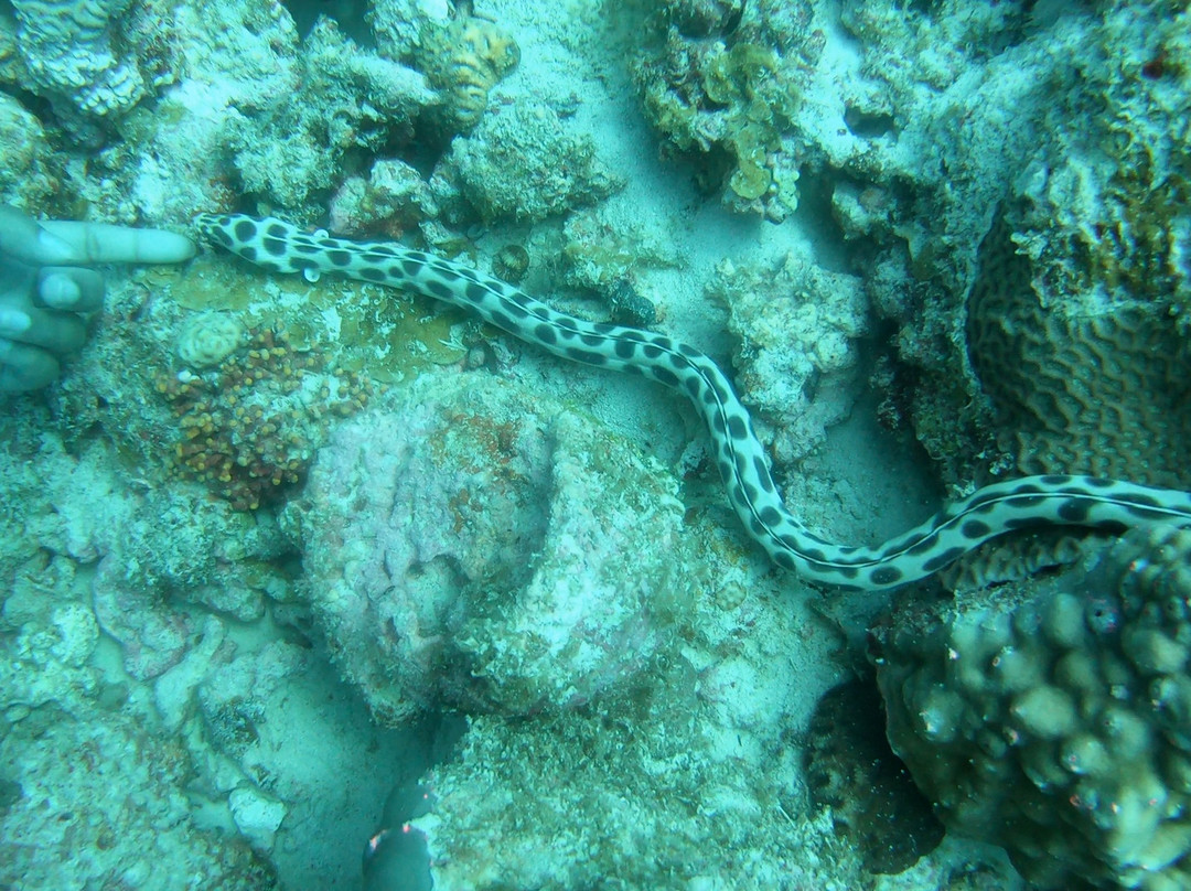 Blue Water Diving Centre景点图片