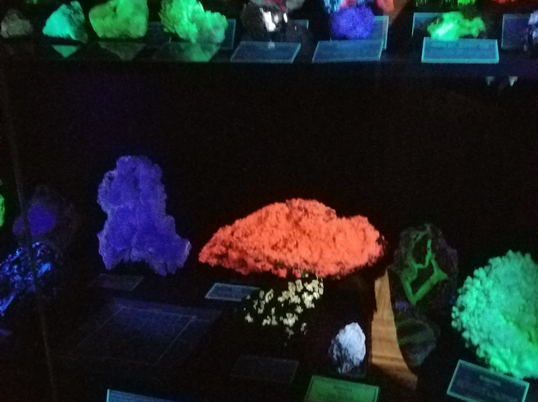 Mineralogical Museum-索科罗必去景点