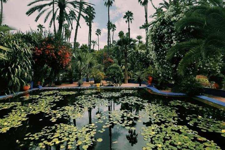 Quad Africa Maroc-Palmeraie必去景点