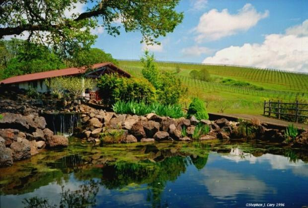 Yamhill Valley Vineyards-麦克明维尔必去景点