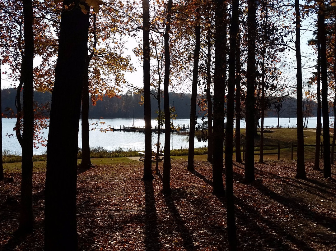 Lake Reidsville Recreation Park景点图片