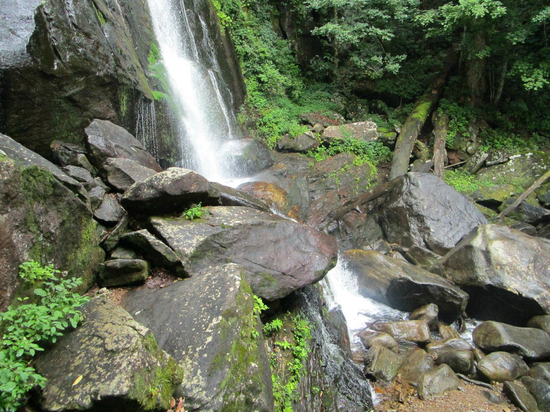 Connelly Springs旅游景点-High Shoals Falls