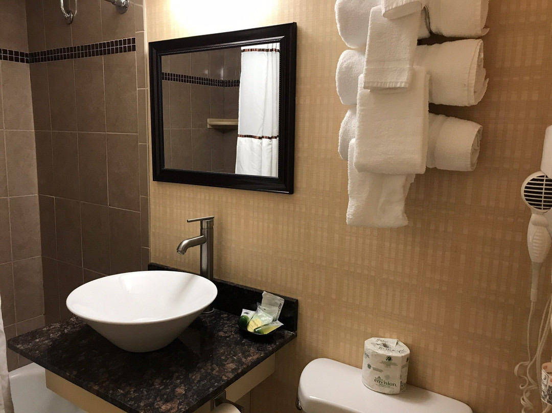 尼亚加拉河阿沙姆酒店主图