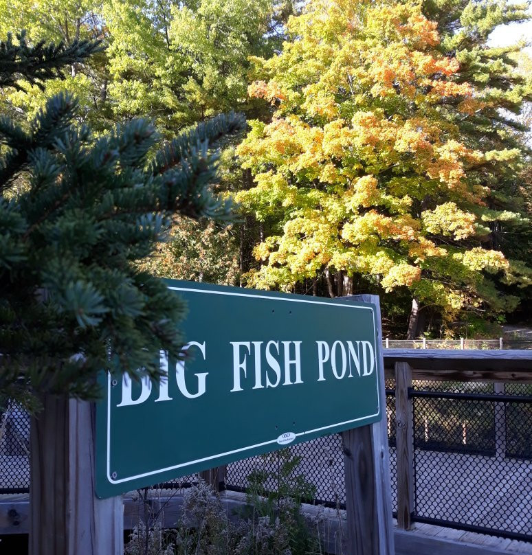 The Oden State Fish Hatchery-Alanson必去景点