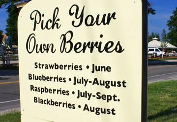 Patty's Berries & Bunches景点图片