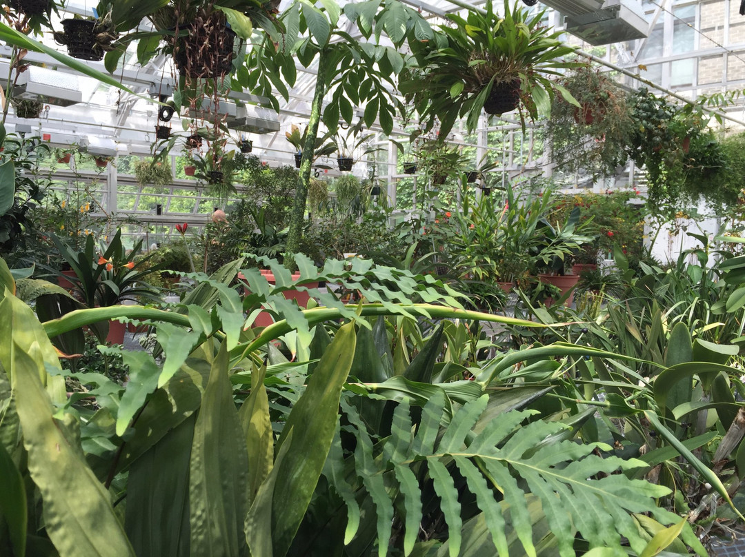 Caroline旅游景点-Liberty Hyde Bailey Conservatory