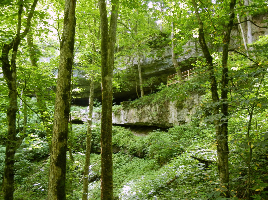 Cedar Sink Trail景点图片