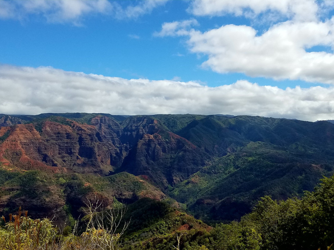 Iliau Nature Loop Trail