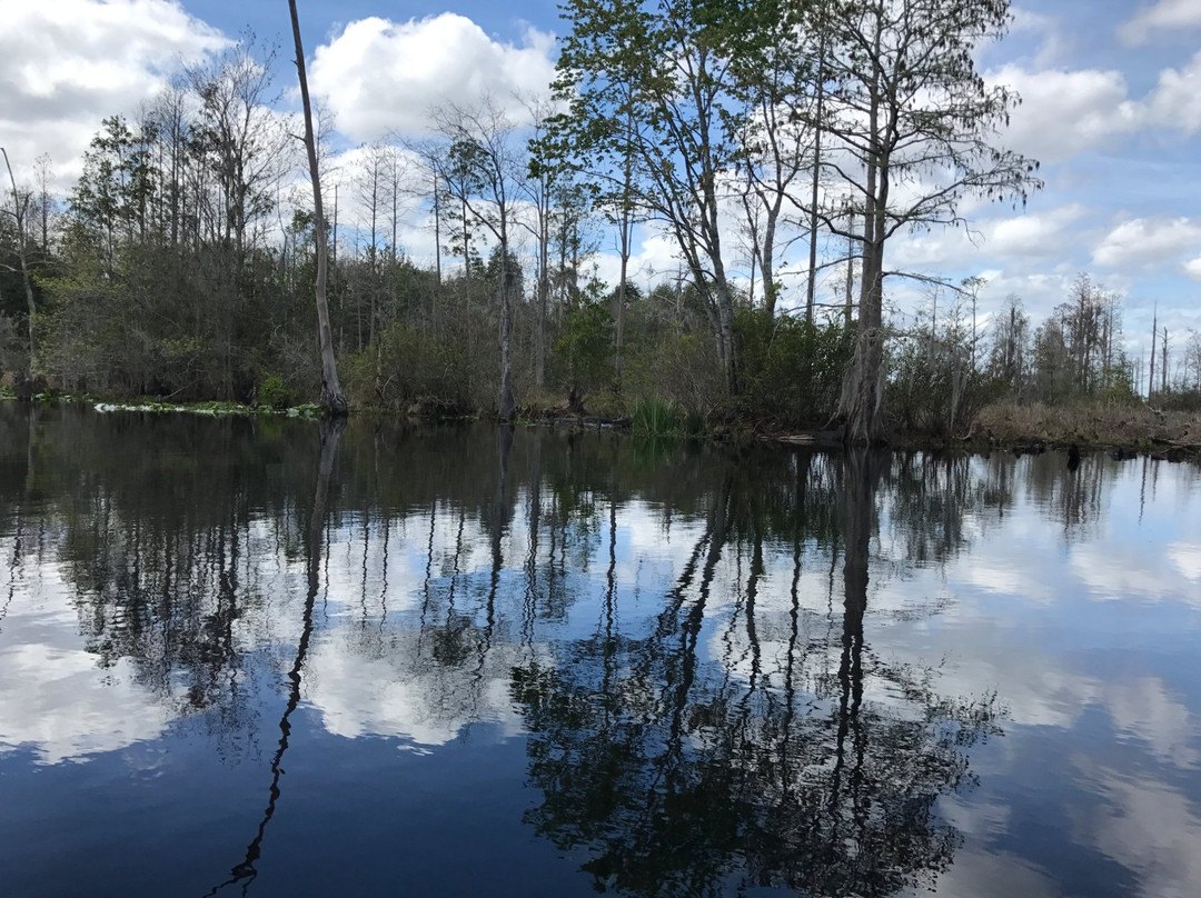 Stephen C. Foster State Park