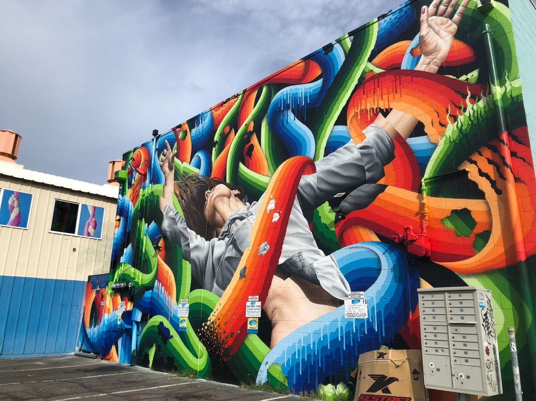 Salt Honolulu-火奴鲁鲁必去景点