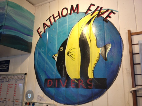 Fathom Five Divers-可洛亚必去景点