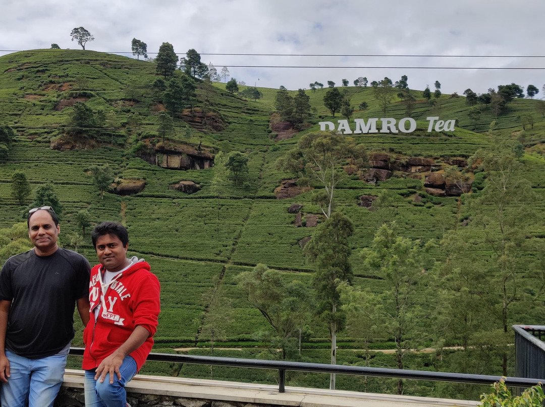 Looking Sri Lanka Tours-佩拉德尼亚必去景点