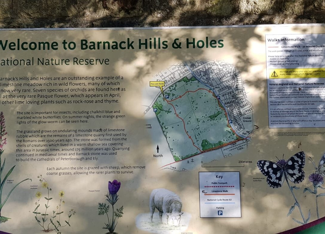 Barnack Hills and Holes National Nature Reserve景点图片